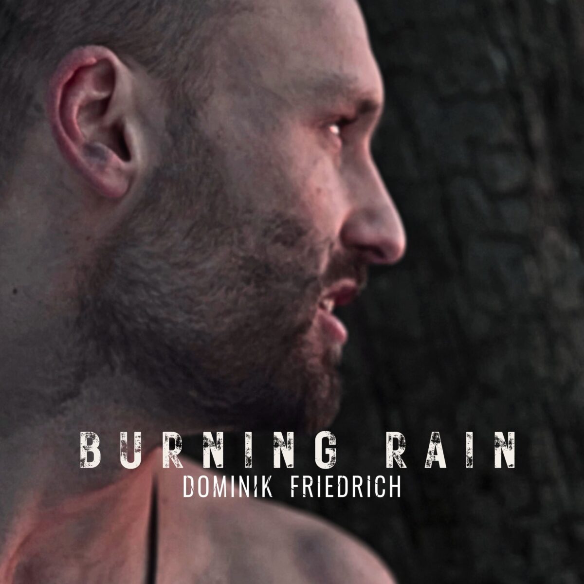 Digital - Burning Rain Album